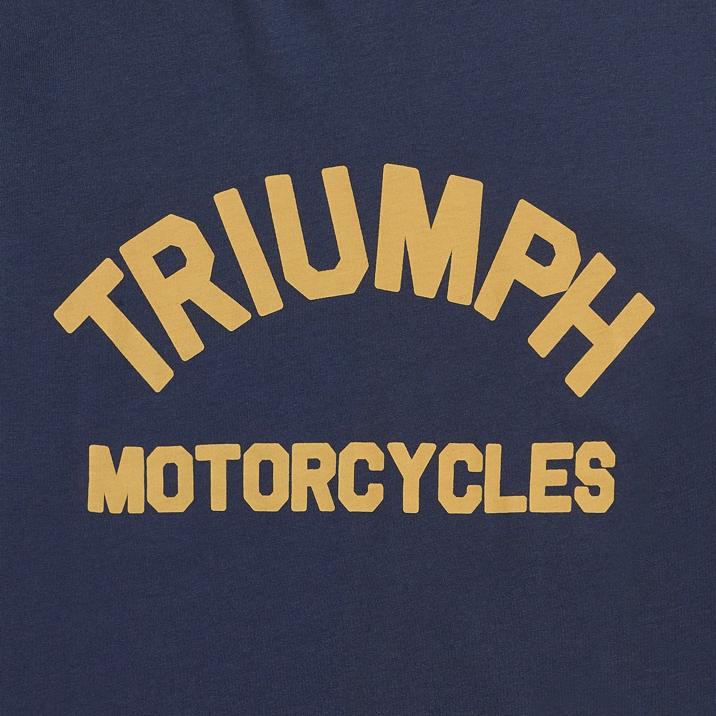 Camiseta Triumph Burnham